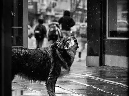 吴磊|吴磊和她的私照曝光，却意外揭露了她的生存现状