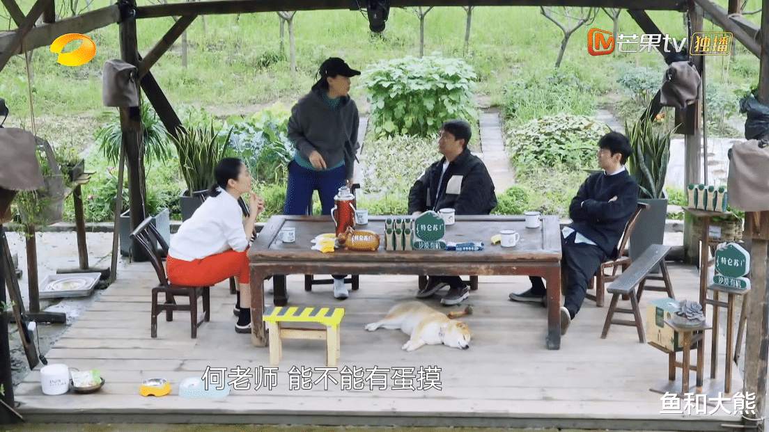 杨幂|《向往5》突然宣布加更，节目组太懂观众心，与《密逃》对比强烈
