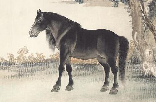 舜网 5月初，桃花满地，迎来爱情，幸运成功摆脱单的3大生肖