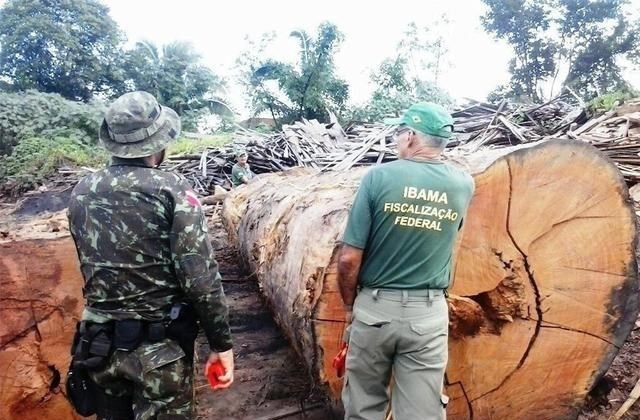 后代 “地球之肺”废了？亚马逊雨林成二氧化碳排放源，正加剧全球变暖