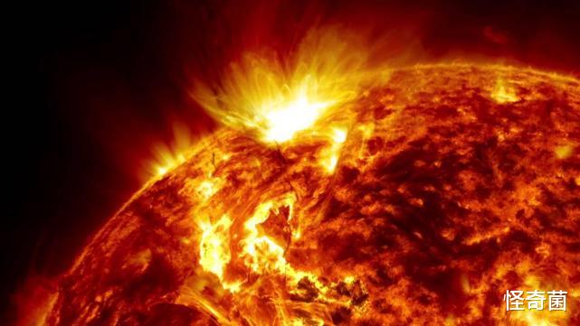 壁虎 一个颠覆认知的事实：太阳每秒释放出的能量还不如一只壁虎