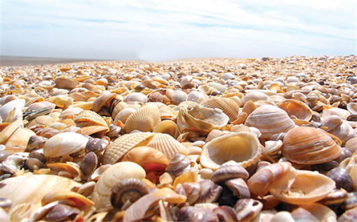 延禧攻略|电视剧吐槽：《延禧攻略》之“珍珠母”