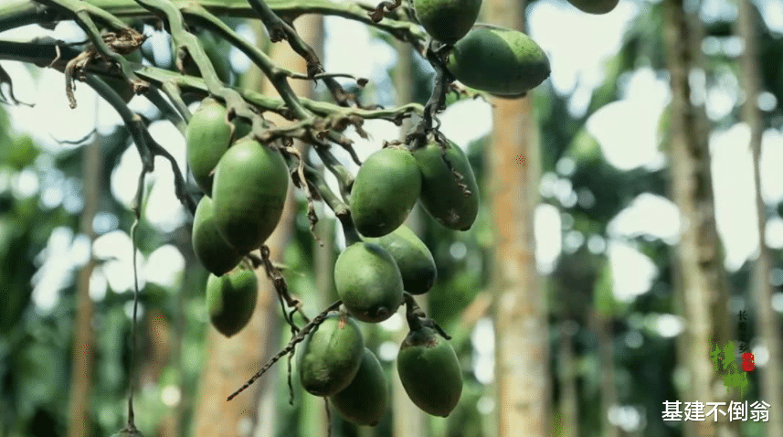 水果|公认的“致癌水果”，美国和加拿大已禁售，中国却还在畅销！