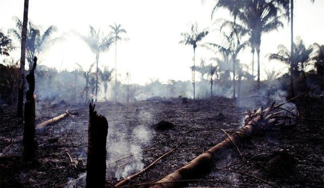 亚马孙热带雨林 ?地球出问题了？新研究：亚马逊雨林或已成为极端高温的罪魁祸首