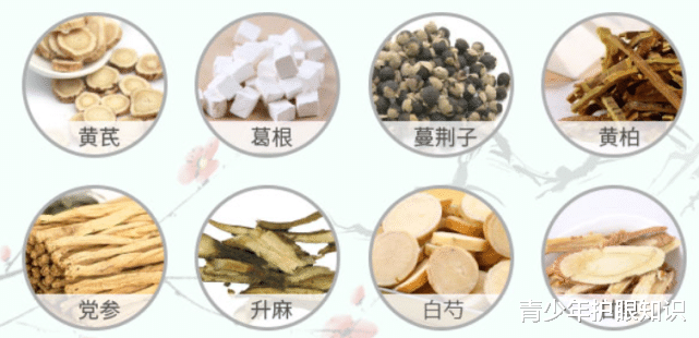 中成药|中医“脾胃学说”创始人李东垣,治疗近视眼的中医方子