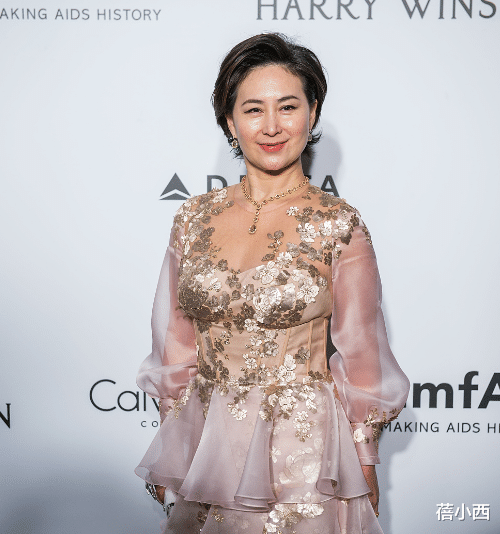 蛋糕裙|何超琼穿出了60后女性羡慕的贵妇感，薄纱蛋糕裙配短发，高贵优雅