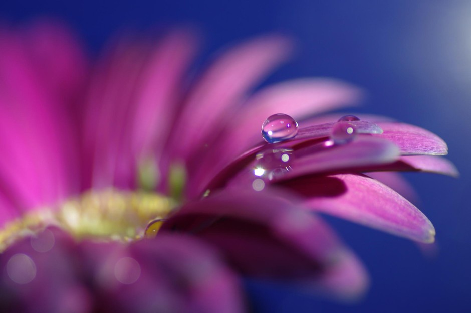 遇见小媛 异性交往，男人不拒绝你三件事，摆明就是对你有好感，别放弃