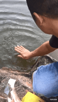 “出差一个月，装修交给婆婆，回来一打开家门愣了”