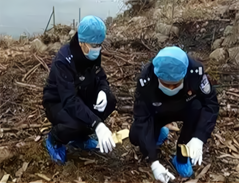 桂阳 因爱杀人的姐姐：佛山活埋兄妹案