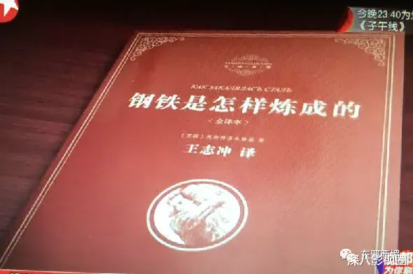 阳光城|被全网骂，到底冤不冤？