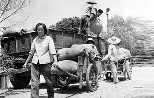 1977年女会计汤兰英遭枪决:靠职权敛财,顿顿有肉买萝卜干解腻