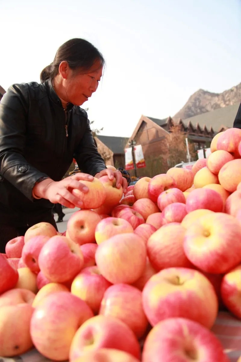 庄里微热门 野三坡第十四届开山节盛大启幕 荣盛康旅为野三坡发展持续助力