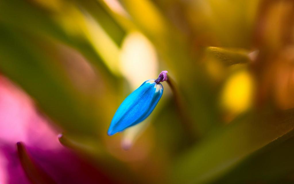 遇见小媛 异性交往，男人不拒绝你三件事，摆明就是对你有好感，别放弃