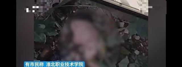 女学生宿舍产子扔下楼,婴儿嘴巴还被堵住,这是故意杀人