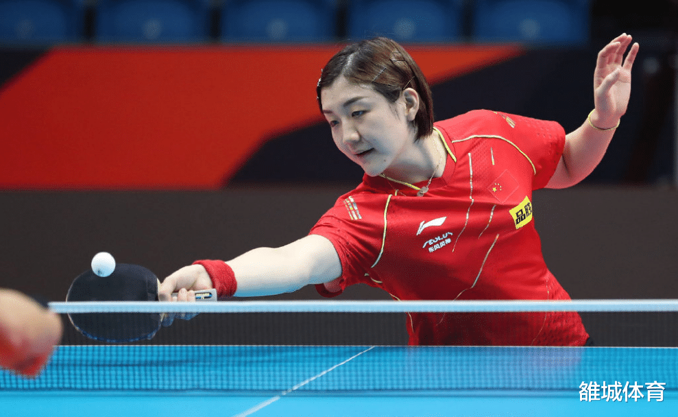 陈梦|虎背熊腰胖乎乎小手成标志 陈梦成一姐功力深厚孙颖莎火候未到