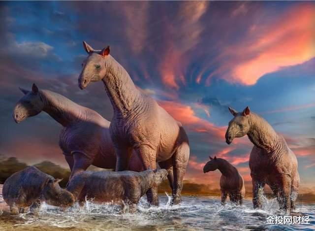 火星 地球史上脖子最长的八大动物！第一名12米，长颈鹿是它的零头