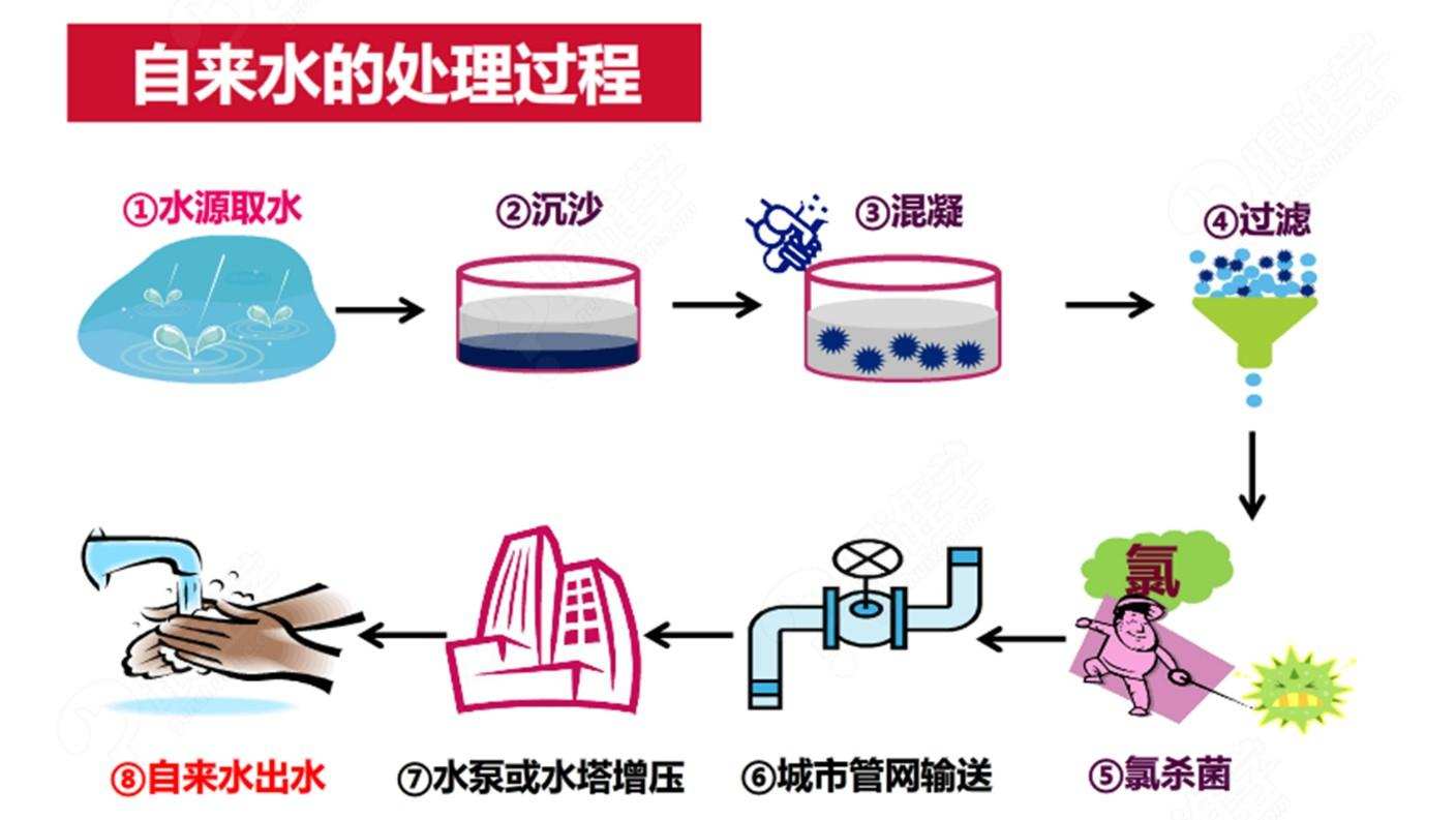 为什么动物直接喝脏水没事,人类却不行?