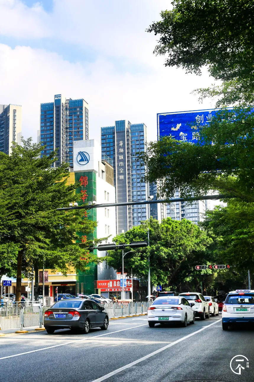 深圳市|深圳妹子勇闯洪浪北租房市场，被中介痛骂！