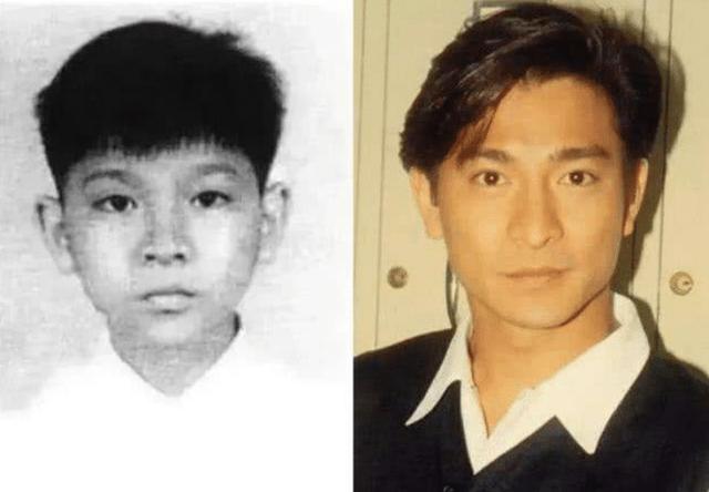 张柏芝|1.4亿！刘德华凭什么，成为央视新闻唯一关注的艺人