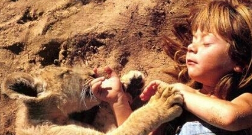 章鱼 一段奇特的“人兽恋”攫取了很多人的眼球