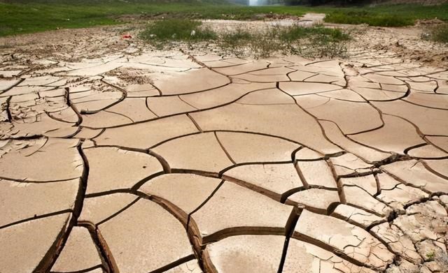 河南|河南高校湖泊干涸湖鱼被暴晒，同学：平时不让钓，这回捞了200斤