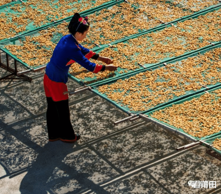 看莆田 青丝缆，竖髻帆：领略莆田最古老的发髻之美