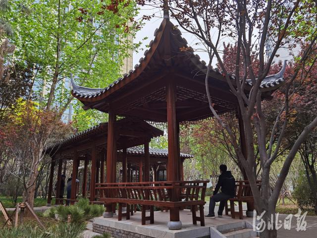 河北新闻网 河北石家庄：游园换新颜