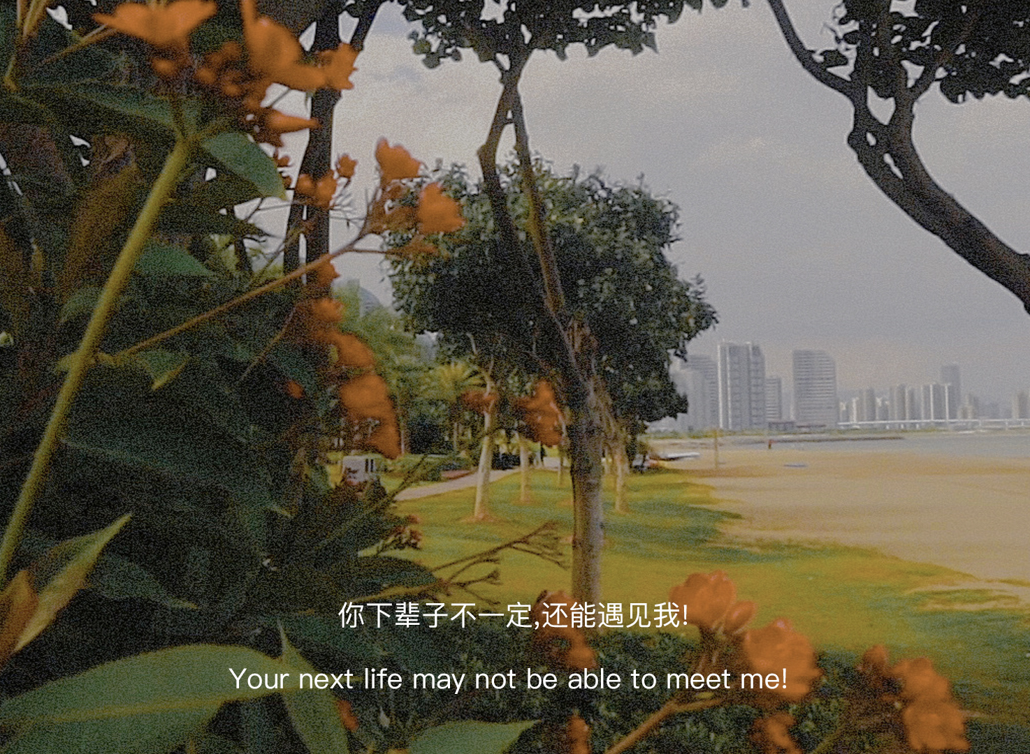 滕小七|“送你的祝福不会收回，但是对你的思念到此为止”