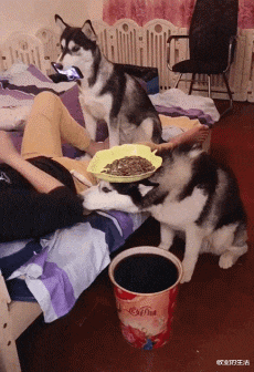 编程|“跟三大运营商都确认过了，说不是他们的线...”好像摊上大事了！