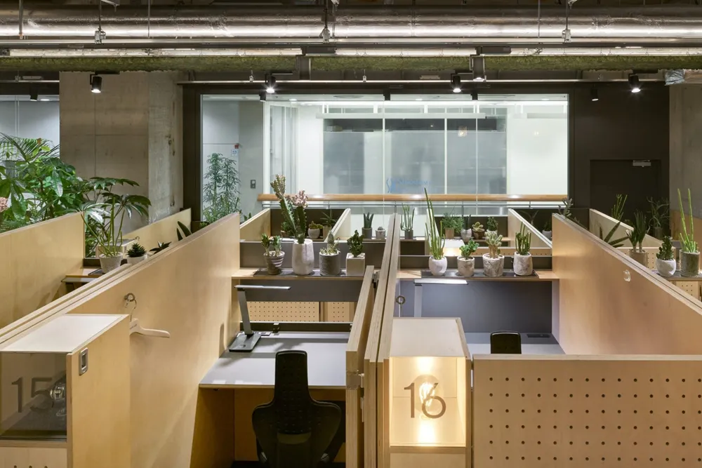 教学楼建一半“丢给学生”，边上课边DIY装修？日本知名艺术高校“骚操作”！网友直呼好家伙…