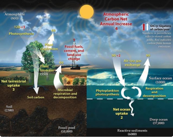 地球引力 我国再现极端高温！火焰山地表温度高达77℃，这是怎么回事？
