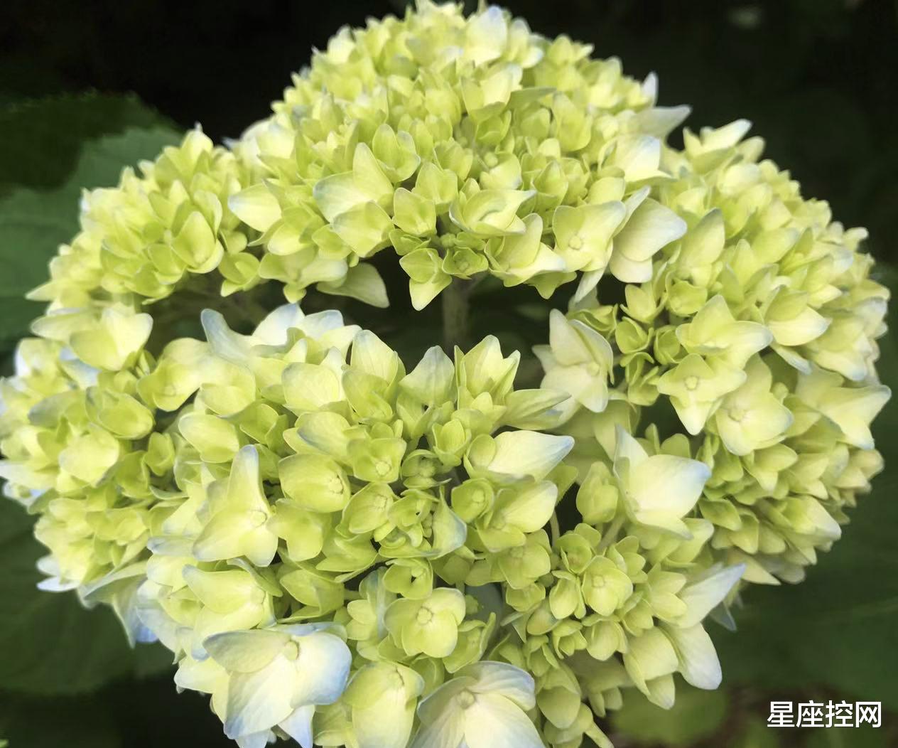 |啥日子出生的人， 五月底出门逢雨必发，财运滚滚来，不用担心没钱