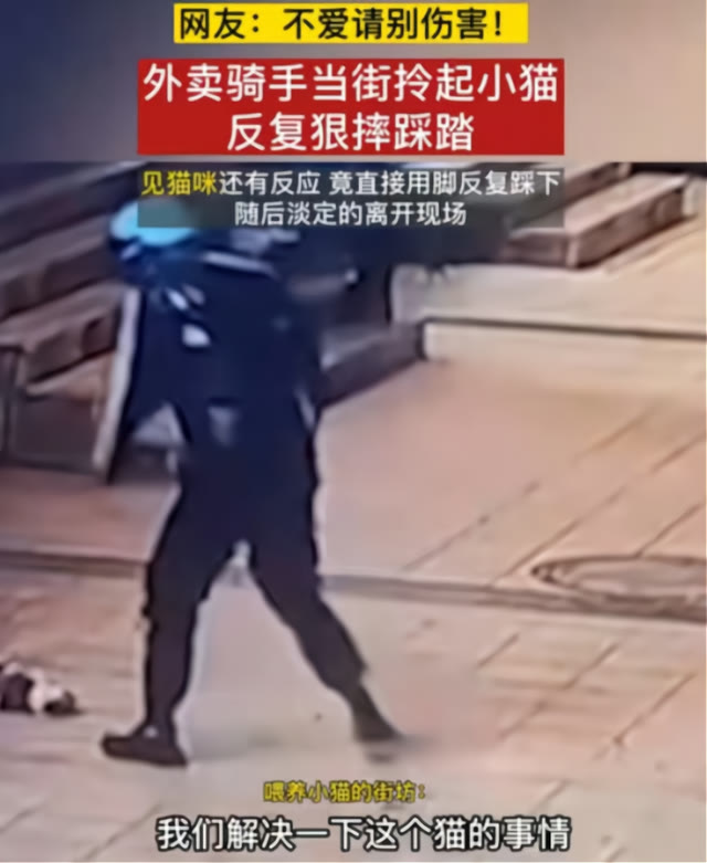 外卖员虐待小猫致猫死亡,外卖平台公开发声,以后永不录用