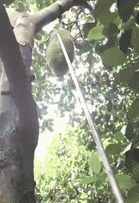 舜网 神评厉害了:给女的一巴掌,连个糖都保护不了以后还指望你保护我?