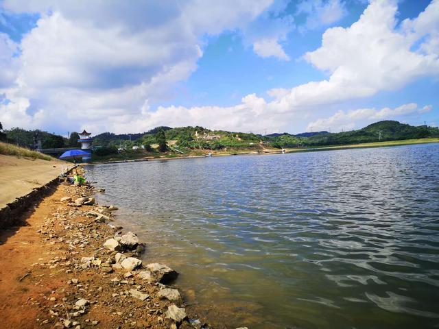 饵料|不让钓鱼就投毒？80万赔偿加数年牢狱！这样做塘主才会让你钓