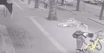 树艺蛙APP|北京一动物园两家人互殴，全家上阵抱着孩子参与“战斗”