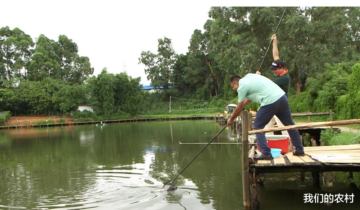 昆虫|钓鱼选好位置很重要，这么选钓位才能保证钓到鱼，天天让你爆护