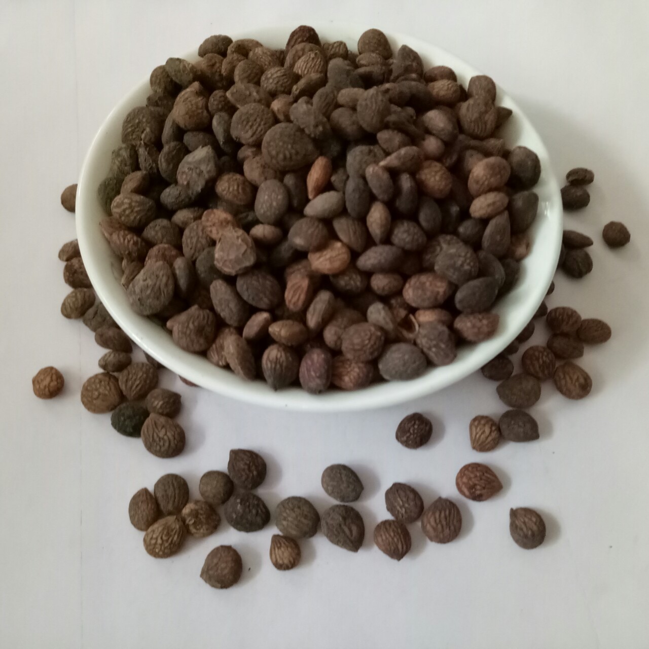 肺癌|盘点:论安神的中草药,这几味首当其冲!