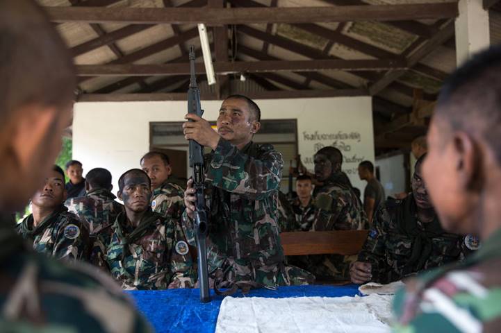 案件通报 神秘的中国女歌手，非法红木帝国的老大，因黄檀树的“虫子”败露