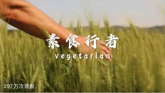 素食行者|感谢纪录片《素食行者》，让我们看到什么叫虚伪，什么叫矫情