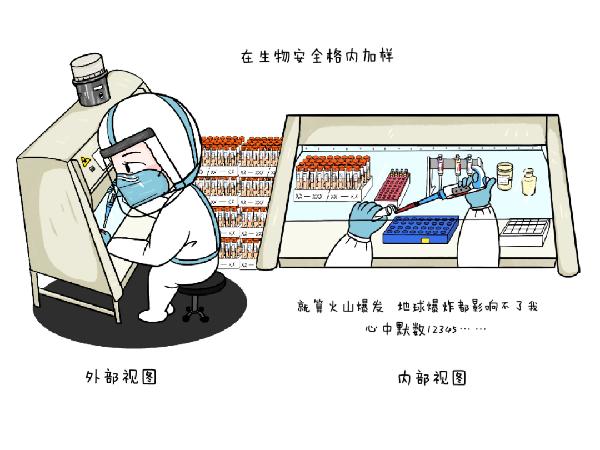 核酸检测|新冠核酸检测全过程曝光，检验人：看完请耐心等报告