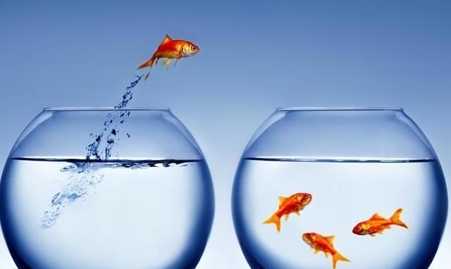 缘来妈咪|太过操心的人容易命苦,学会这3件事,才能有更多的福报与快乐。