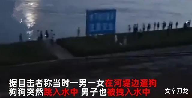 案例回顾:大型狗酿惨剧!佛山一男子被狗拽下江中失踪,老父哭求见最后一面