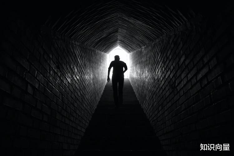 知识向量 投资价值意义的总结和思考