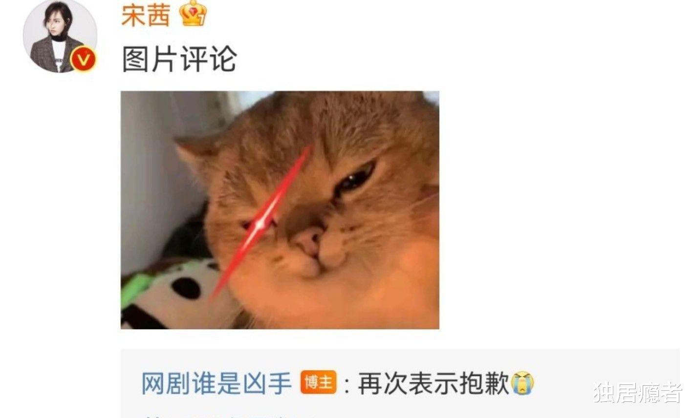 宋茜|谁是杀手开播3天道歉2次，用宋茜旧照做受害者，宋茜表情包回应了