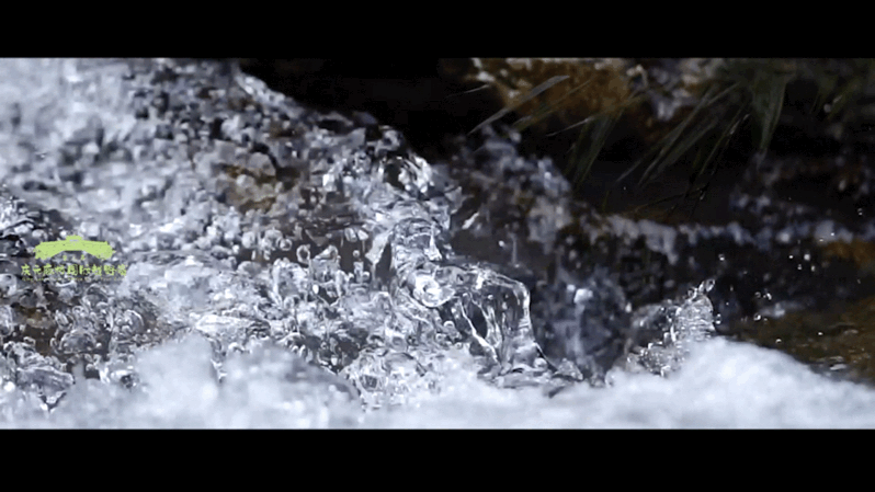 越野赛|他:农民、高中毕业,不但爱跑步,还自己办比赛,一个跑痴