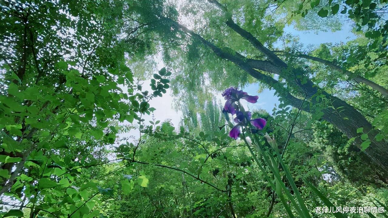 老伴儿风停夜泊聊情感 遭遇背叛后，该明白的7个道理，均是血的“教训”