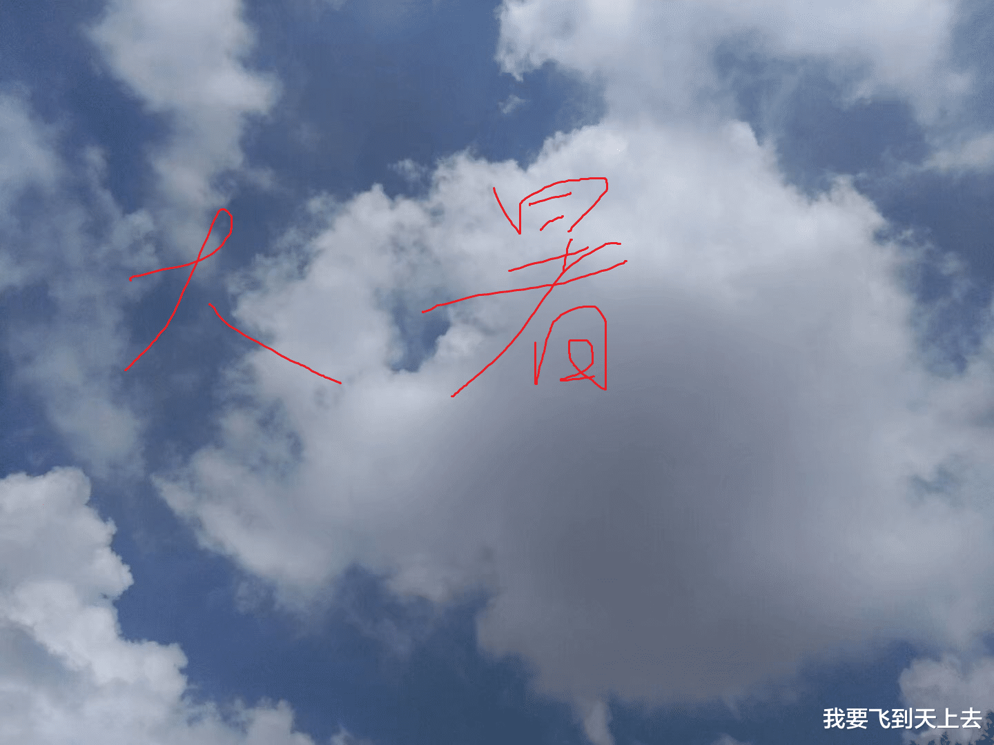 农村见闻 农村俗语：“大暑养猪有两招，学会两招猪病少”，说的是啥意思？