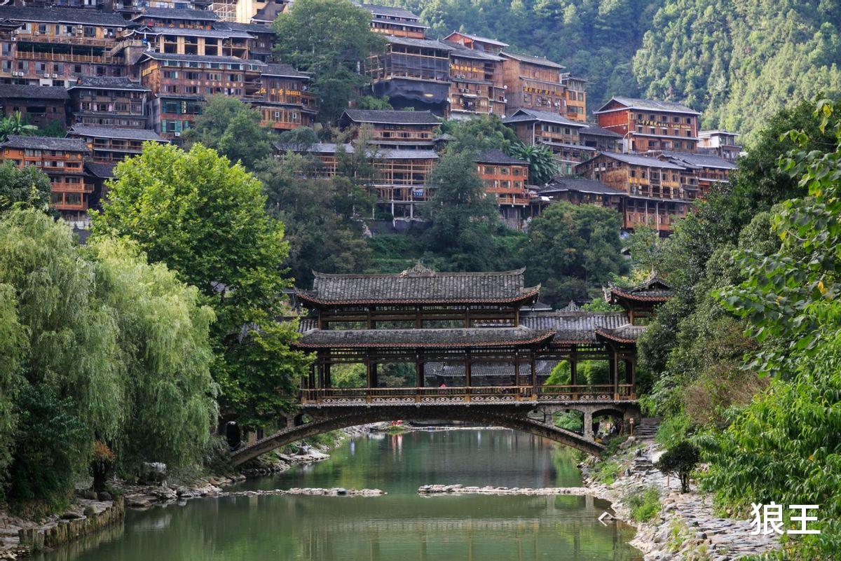 狼王 养父母去世留下巨额遗产,女孩拒绝亲生父母的突然认亲!