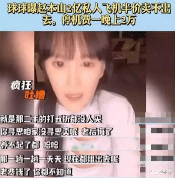 赵本山|赵本山公司违法被查，花2亿巨资购买的飞机有内幕，严查到底